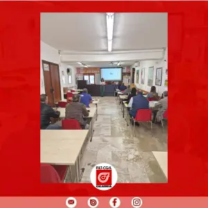 Grazie per aver partecipato! (16)