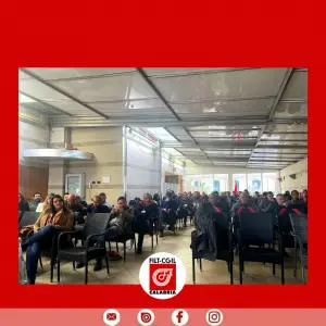 Grazie per aver partecipato! (2)