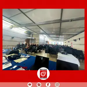 Grazie per aver partecipato! (6)